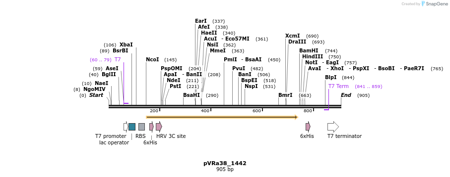 77286_map