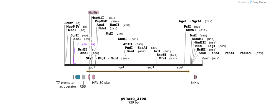 77288_map