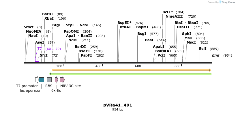 77289_map