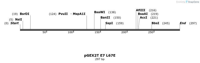 7729_map