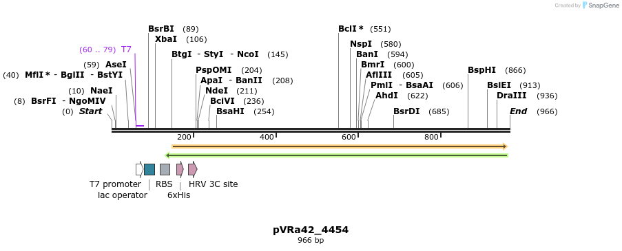 77290_map