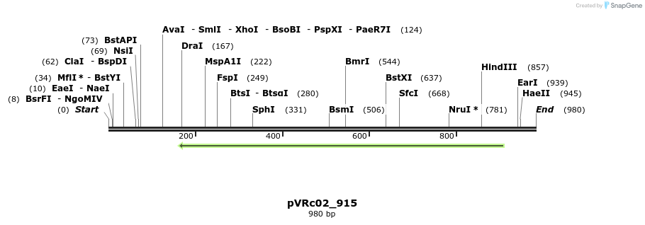 77291_map