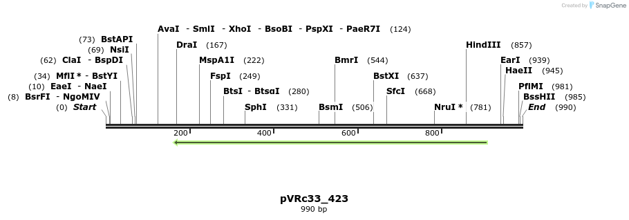 77293_map