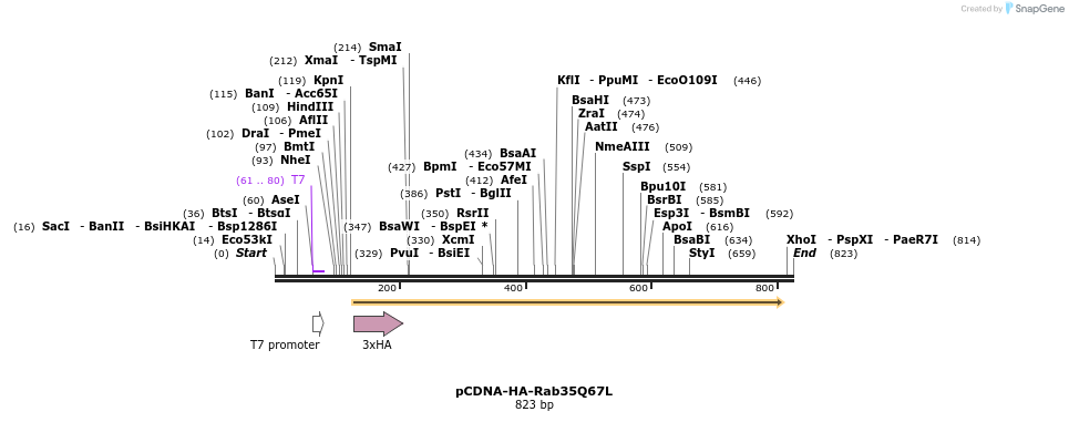 77308_map
