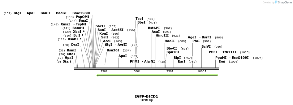 77336_map
