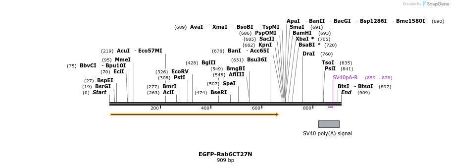 77357_map