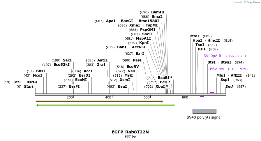 77359_map