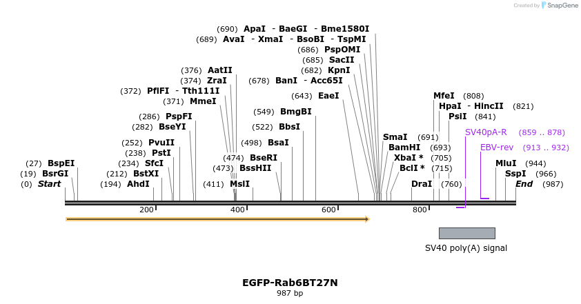 77362_map