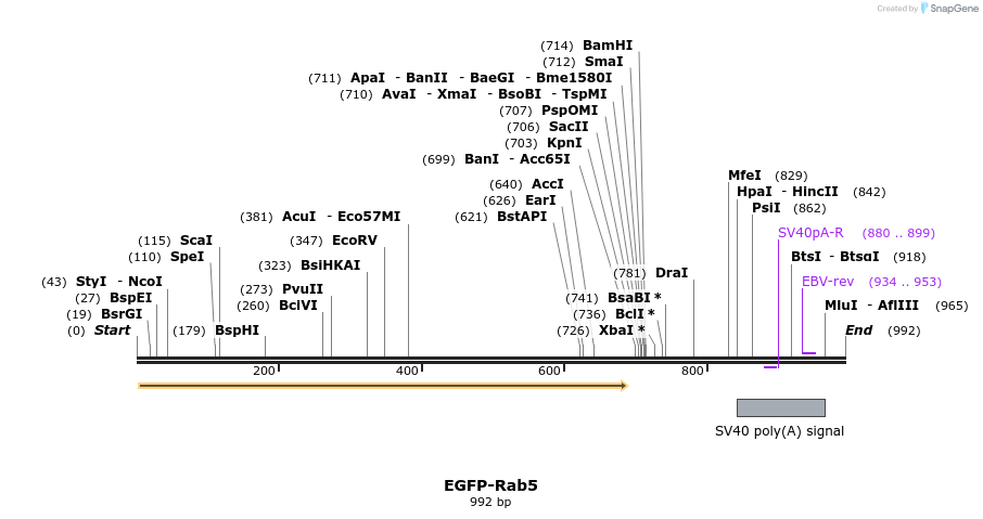 77372_map