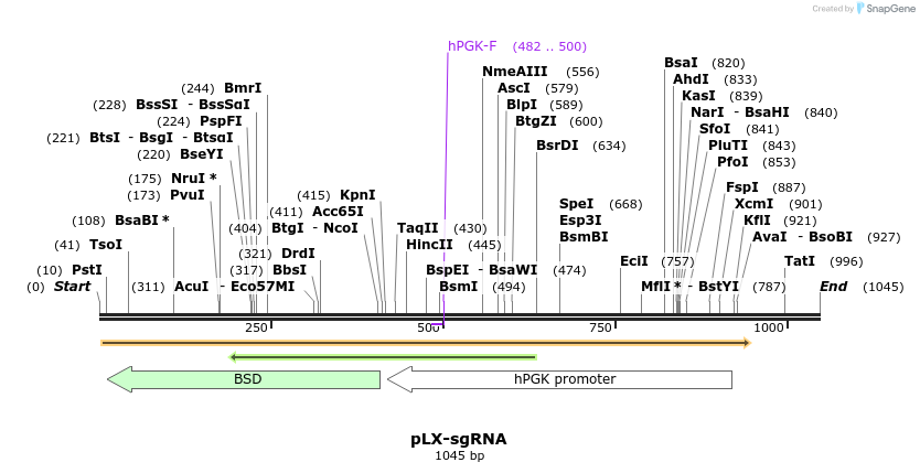 77387_map
