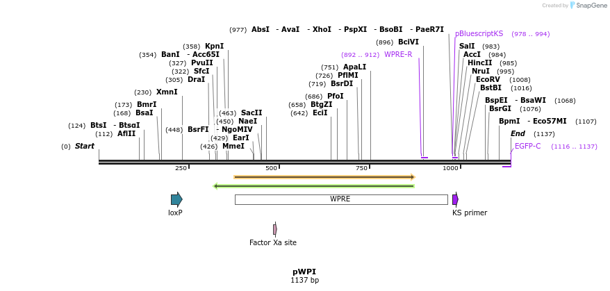 77389_map