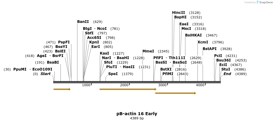 7739_map