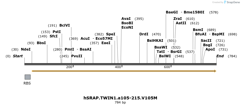 77393_map