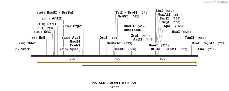 77398_map