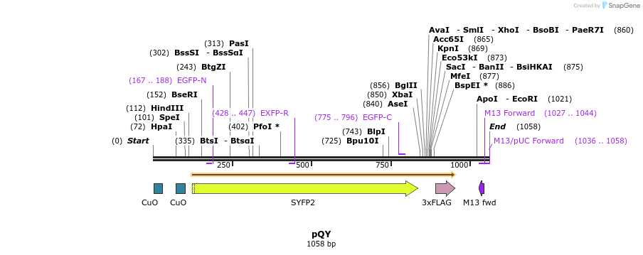 77401_map