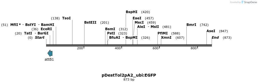 77403_map