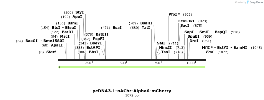 77405_map
