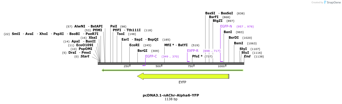 77407_map
