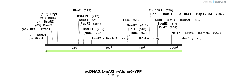 77409_map
