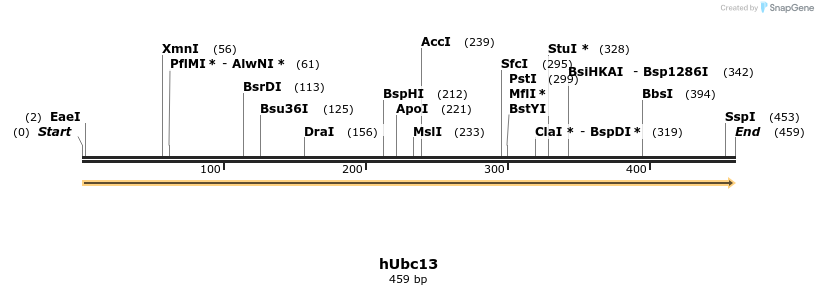 77411_map