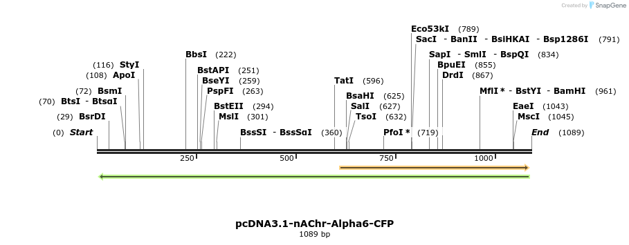 77414_map