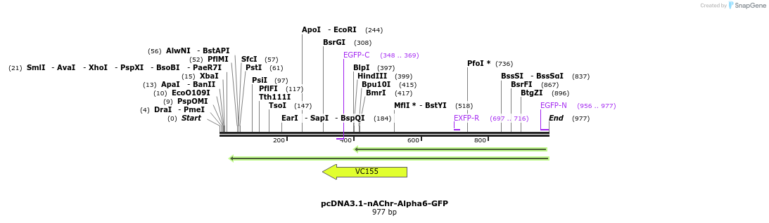 77415_map