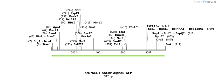 77416_map