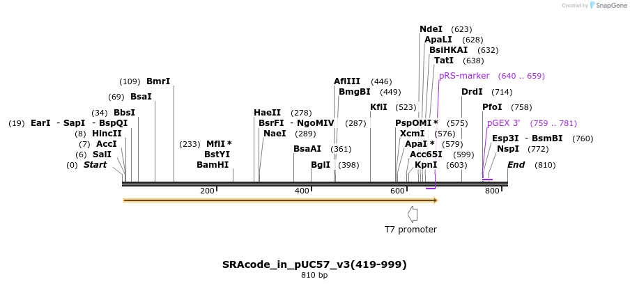 77419_map