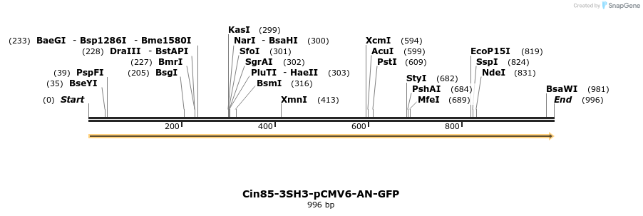 77426_map