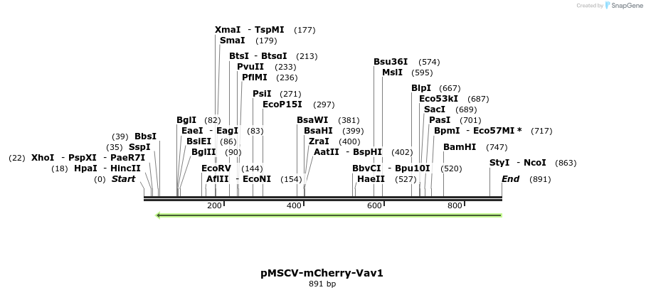 77428_map