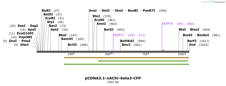 77432_map
