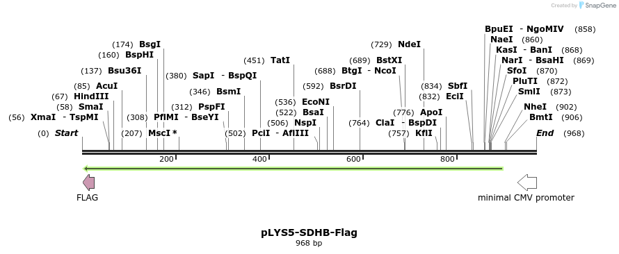 77439_map