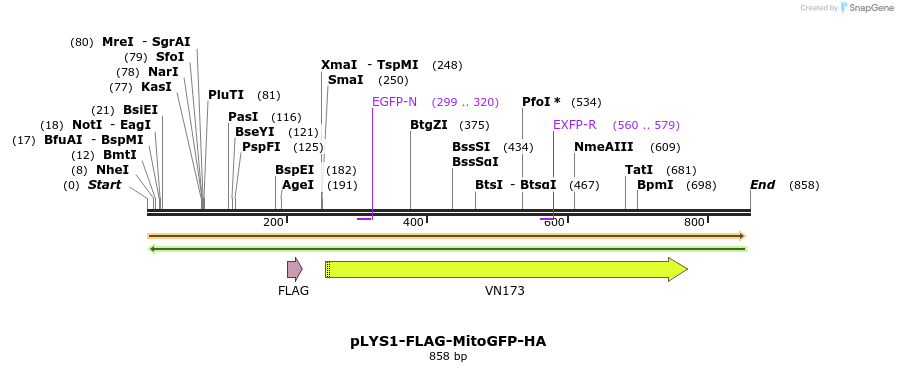 77442_map