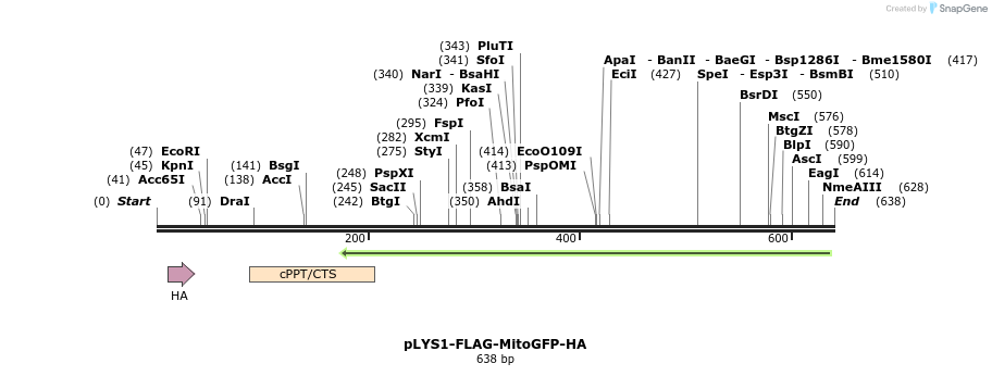 77443_map