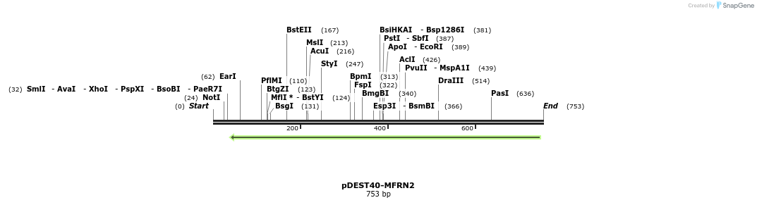 77449_map