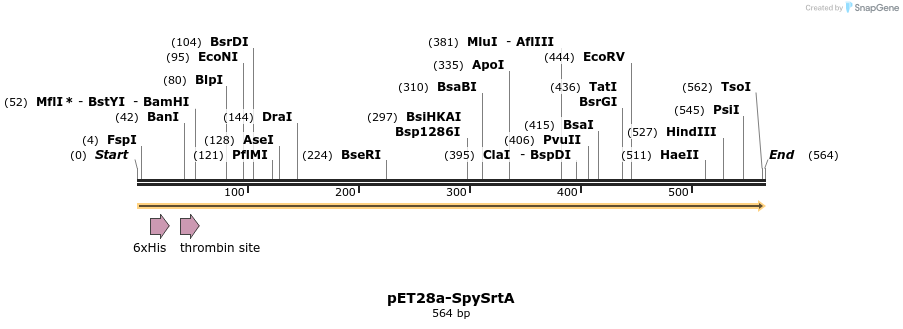 77451_map