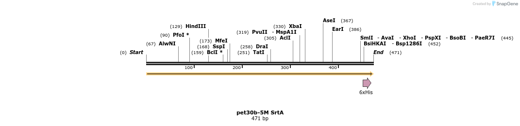 77454_map