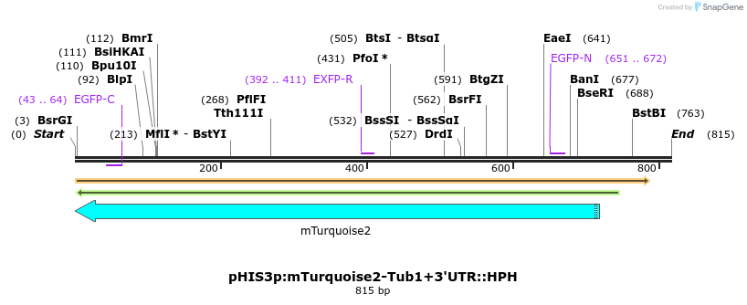 77459_map