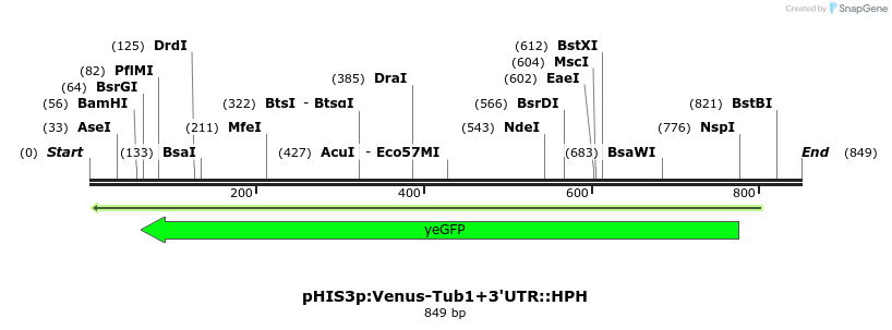 77460_map