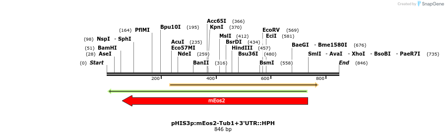 77461_map