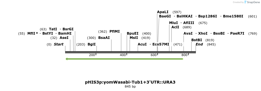 77467_map