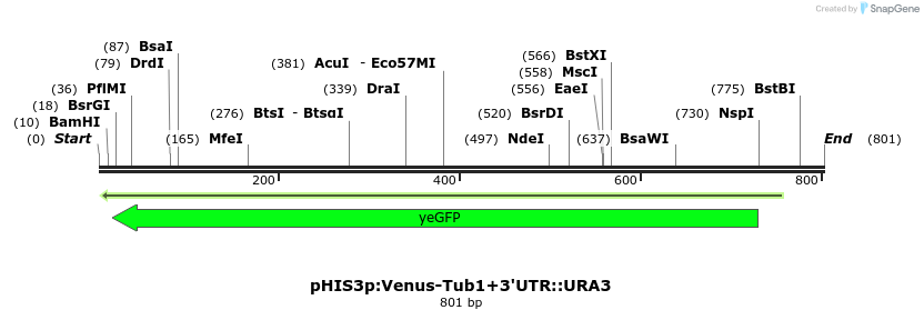 77468_map
