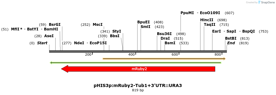 77469_map