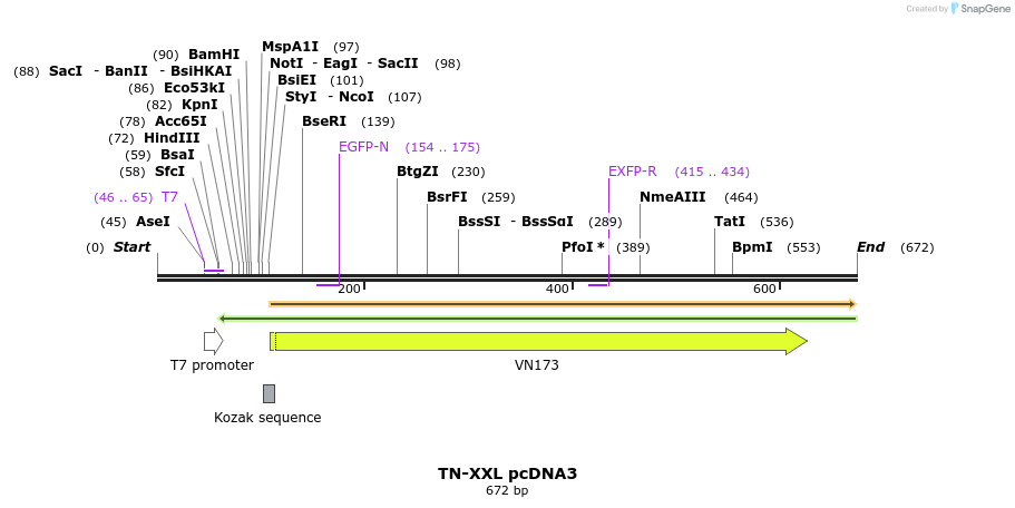 77472_map
