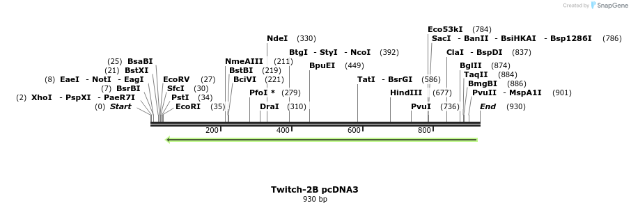 77480_map