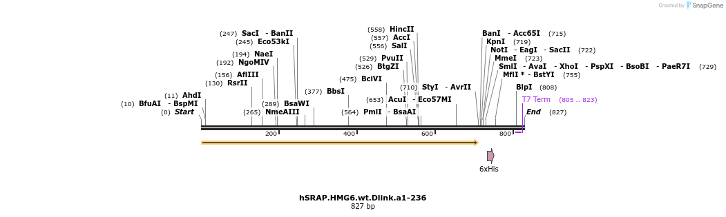 77483_map