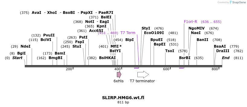 77486_map