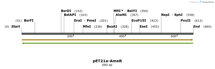 77492_map