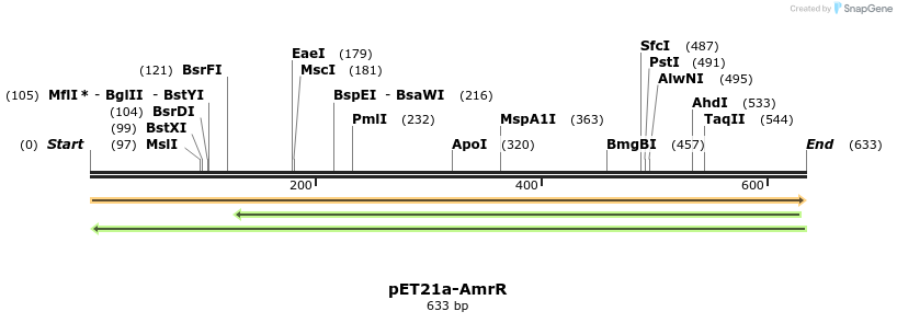 77494_map