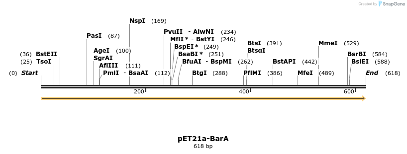 77502_map